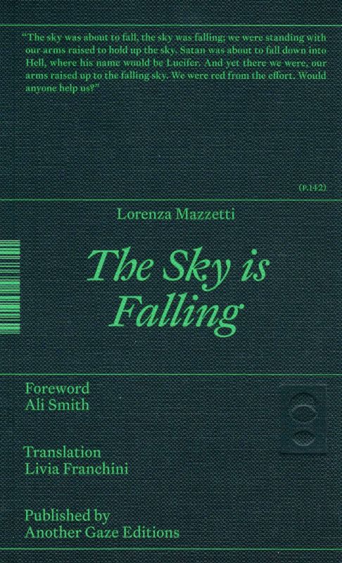 The cover of 'The Sky is Falling'.